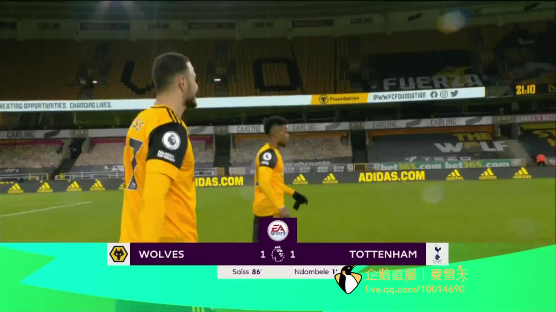 献了一场精 献了一场精